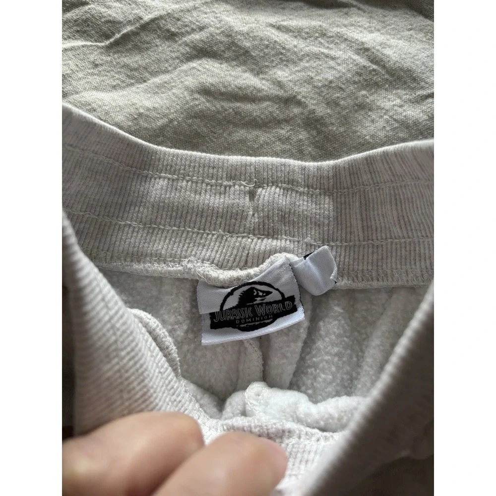 Boys Jurassic World Pullover Sweat Shirt and‎ Pant Set Size 5/6